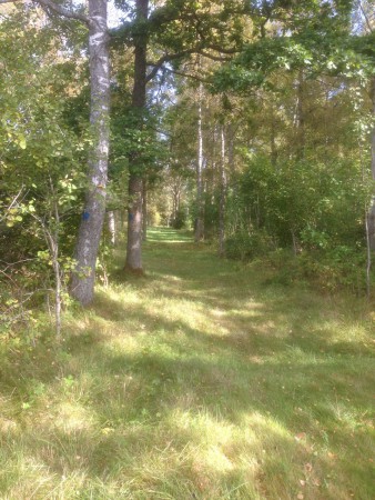 4 stjärnor i discgolfguide my ass!!!!!!   Det var en helt okej bana (något svår ;)) men fruktansvärt dåligt skött #Mösseberga#Falköping